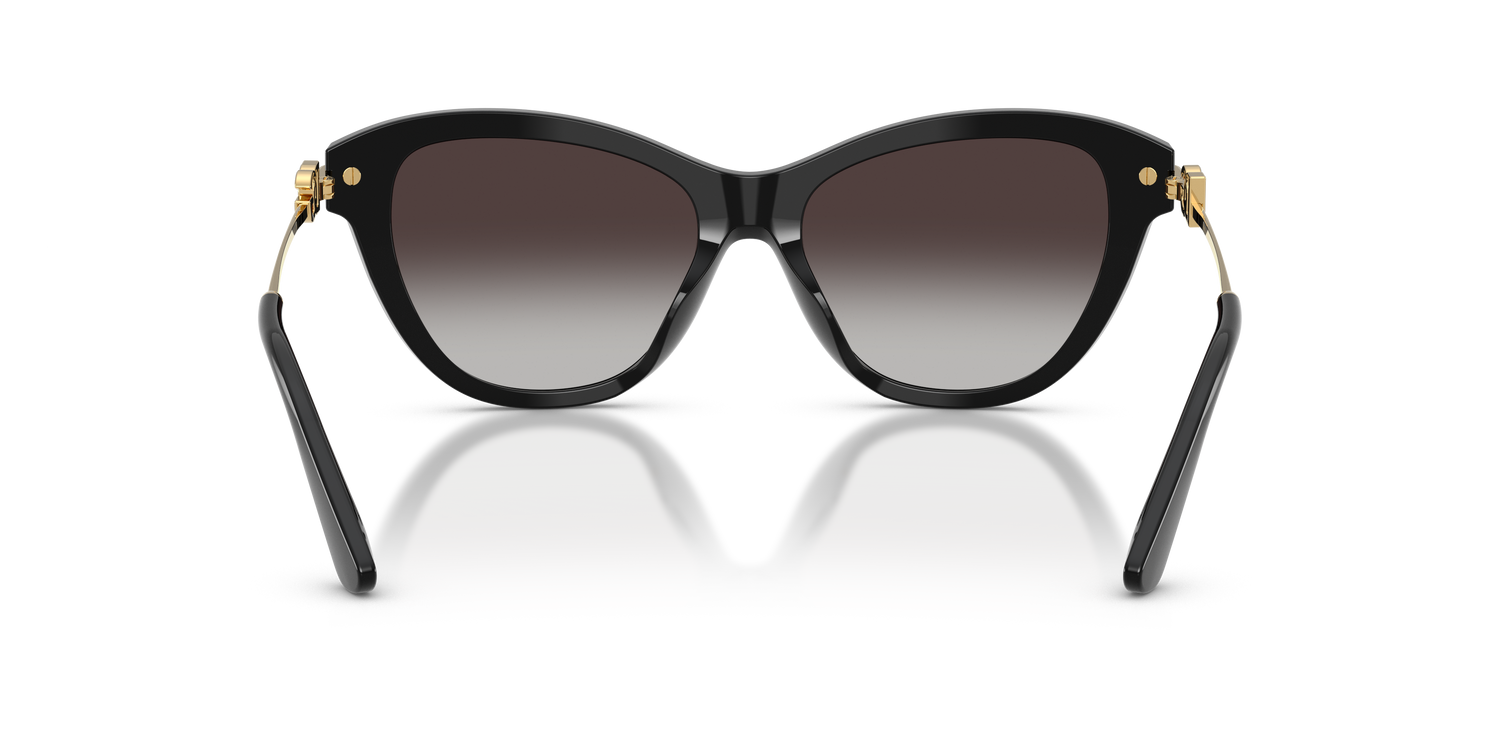 DOLCE &amp; GABBANA DG4534 501/8G 53