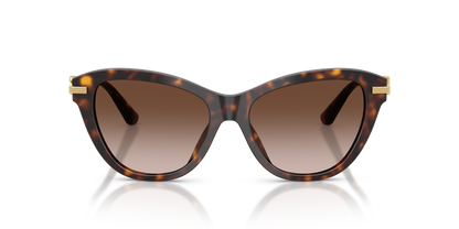 DOLCE &amp; GABBANA DG4534 502/13 53