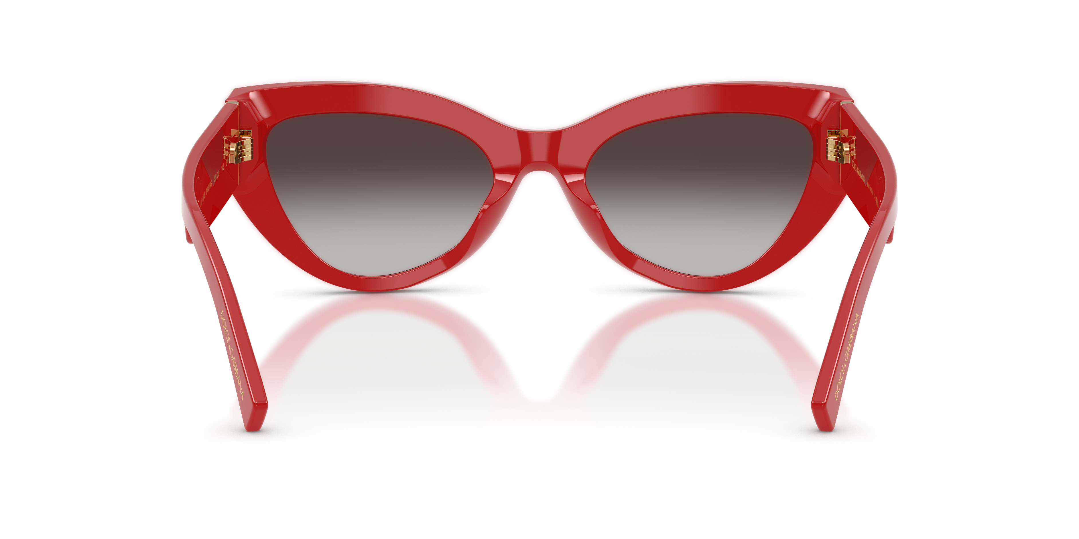 DOLCE &amp; GABBANA DG4536 30888G 55