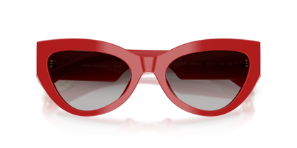 DOLCE &amp; GABBANA DG4536 30888G 55
