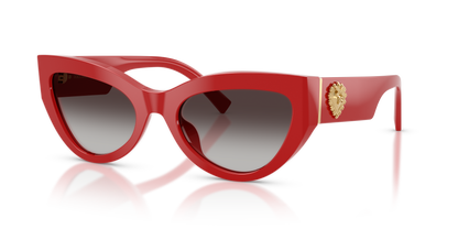DOLCE &amp; GABBANA DG4536 30888G 55