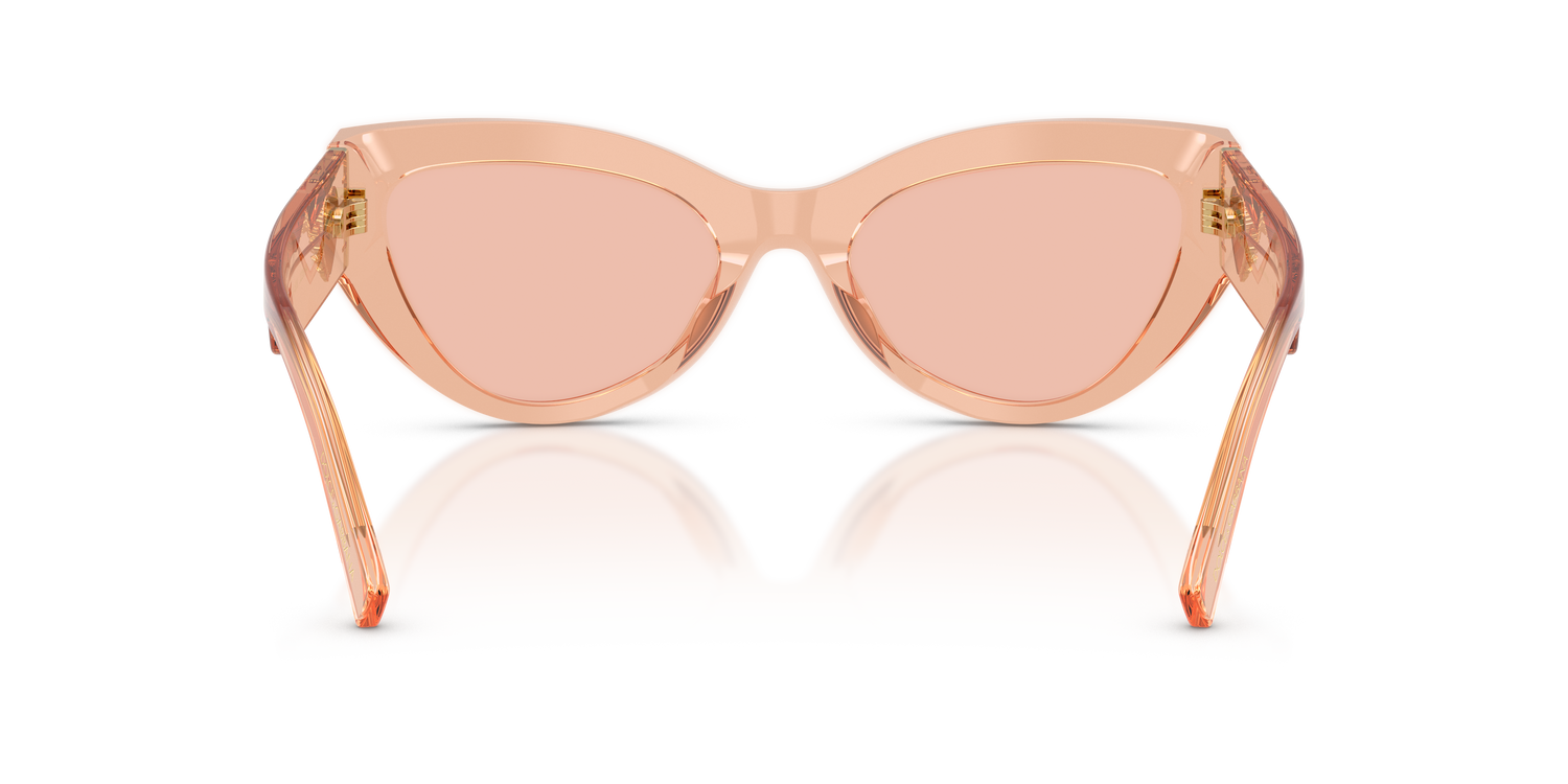 DOLCE &amp; GABBANA DG4536 322684 55