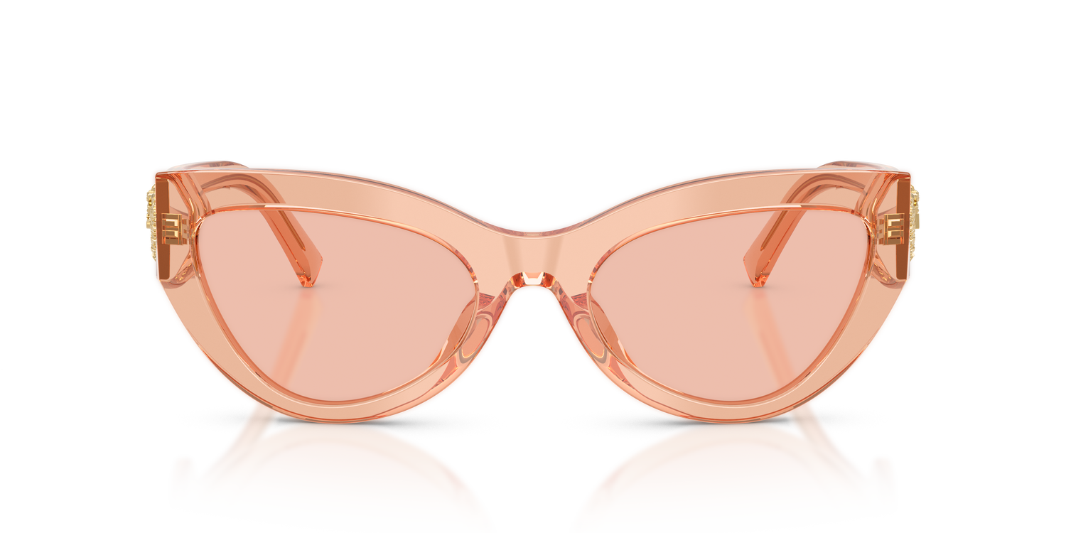 DOLCE &amp; GABBANA DG4536 322684 55