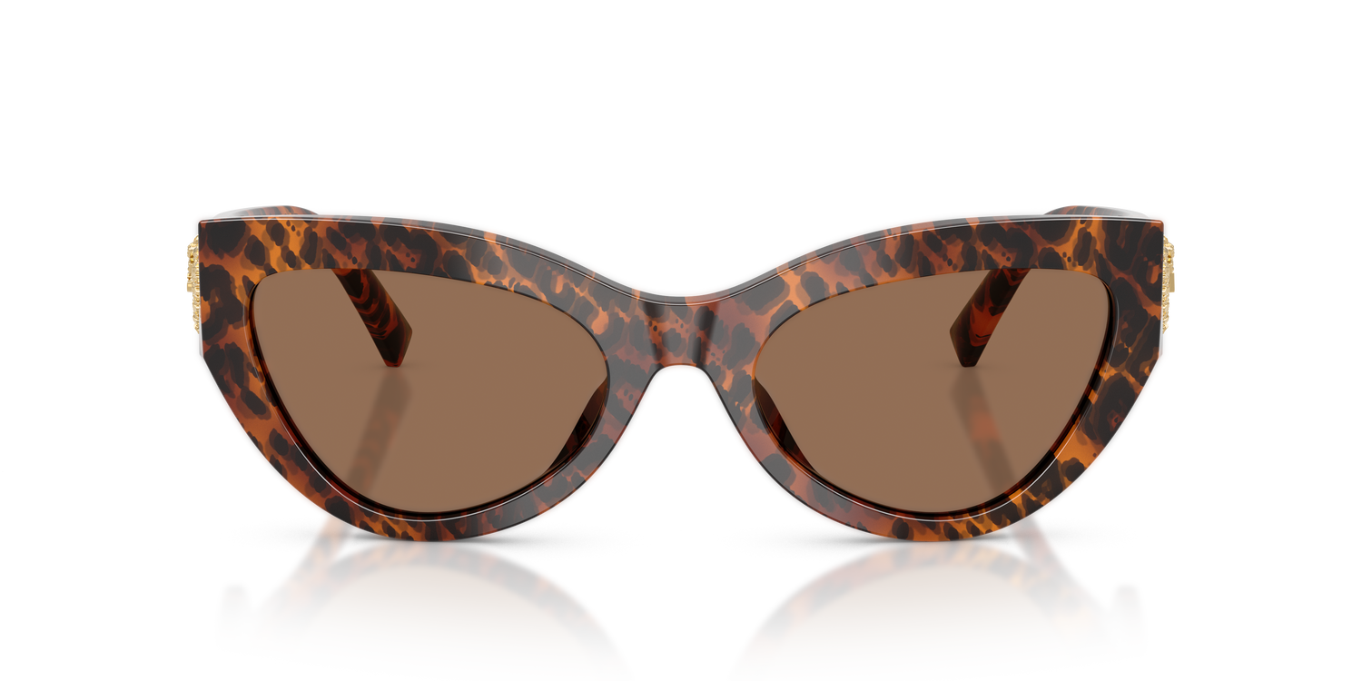 DOLCE &amp; GABBANA DG4536 347073 55