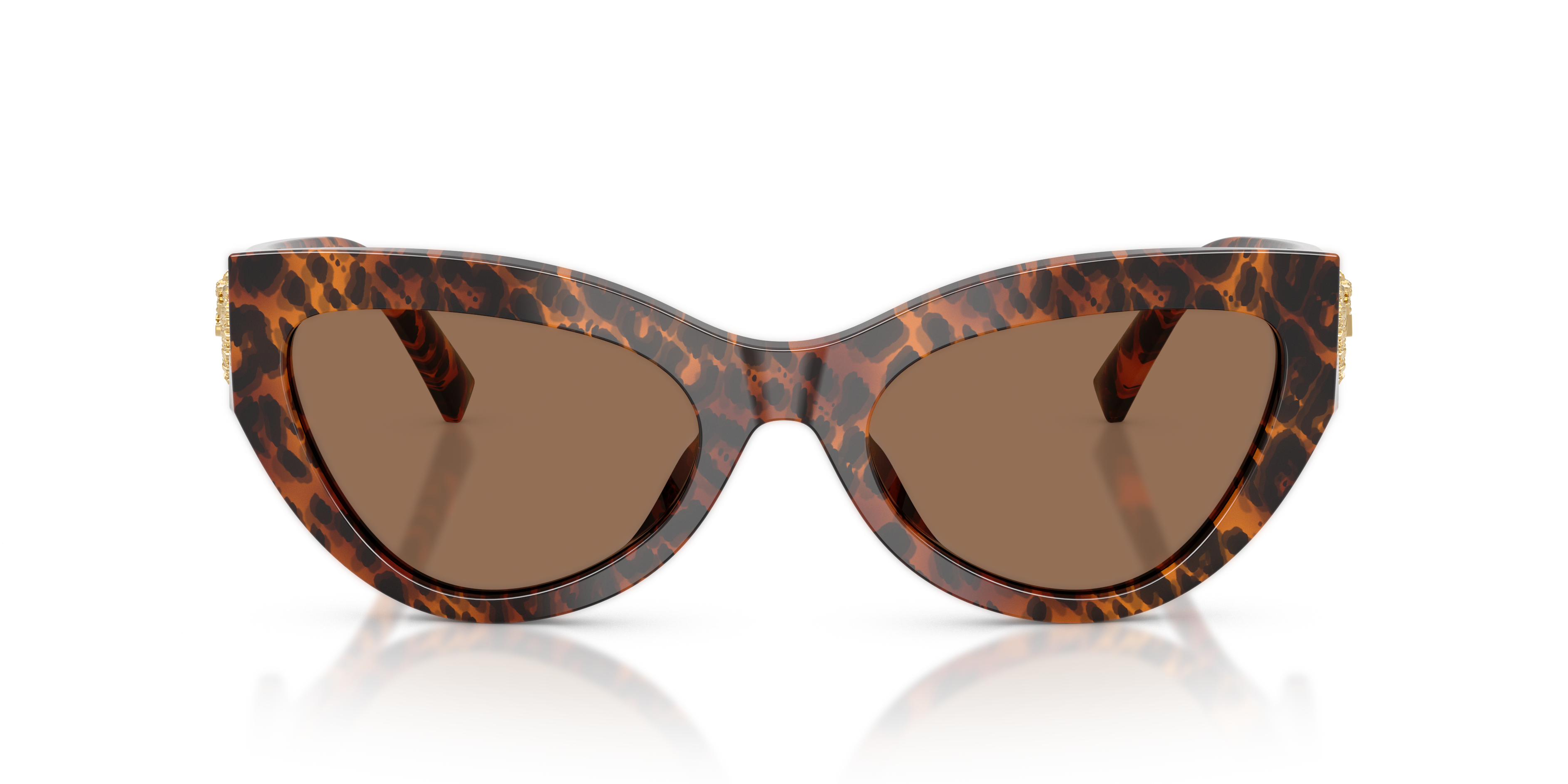 DOLCE &amp; GABBANA DG4536 347073 55