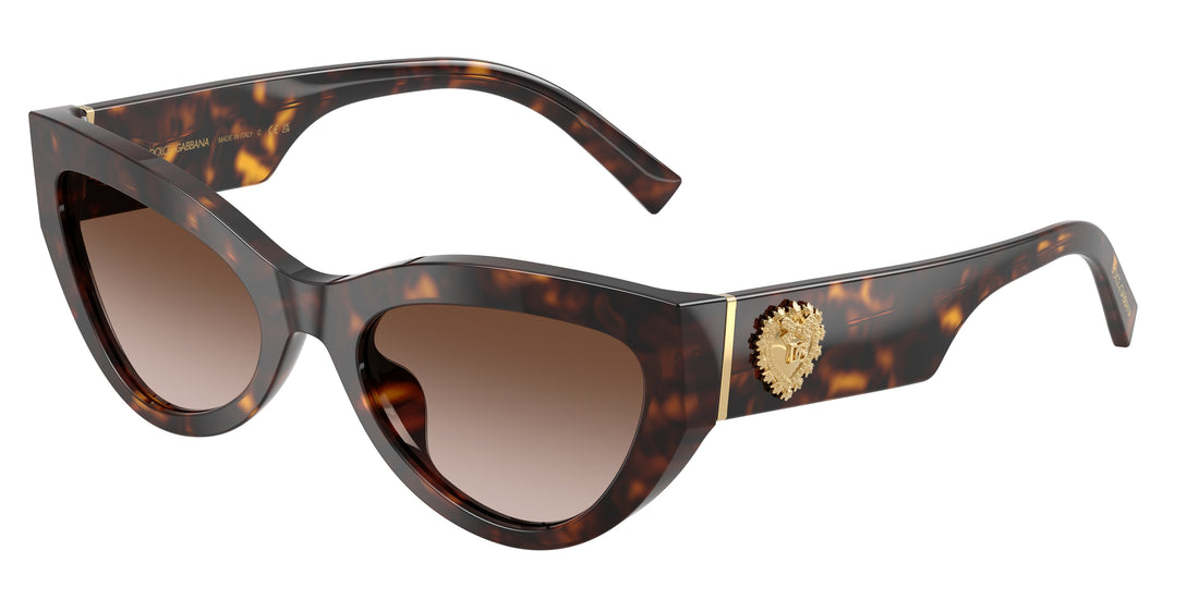 Sunglasses dolce & gabbana dg4536 502/13 havana cat eye femenino size 55mm - Main view