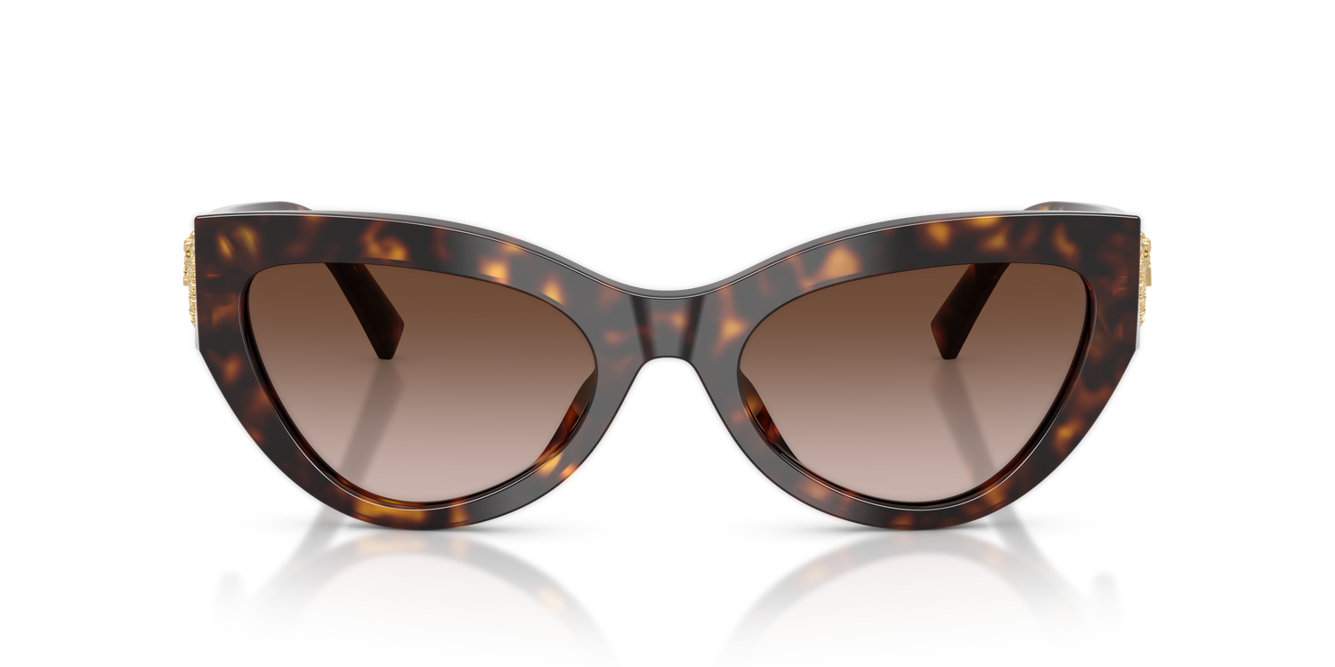 DOLCE &amp; GABBANA DG4536 502/13 55