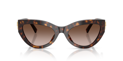 DOLCE &amp; GABBANA DG4536 502/13 55