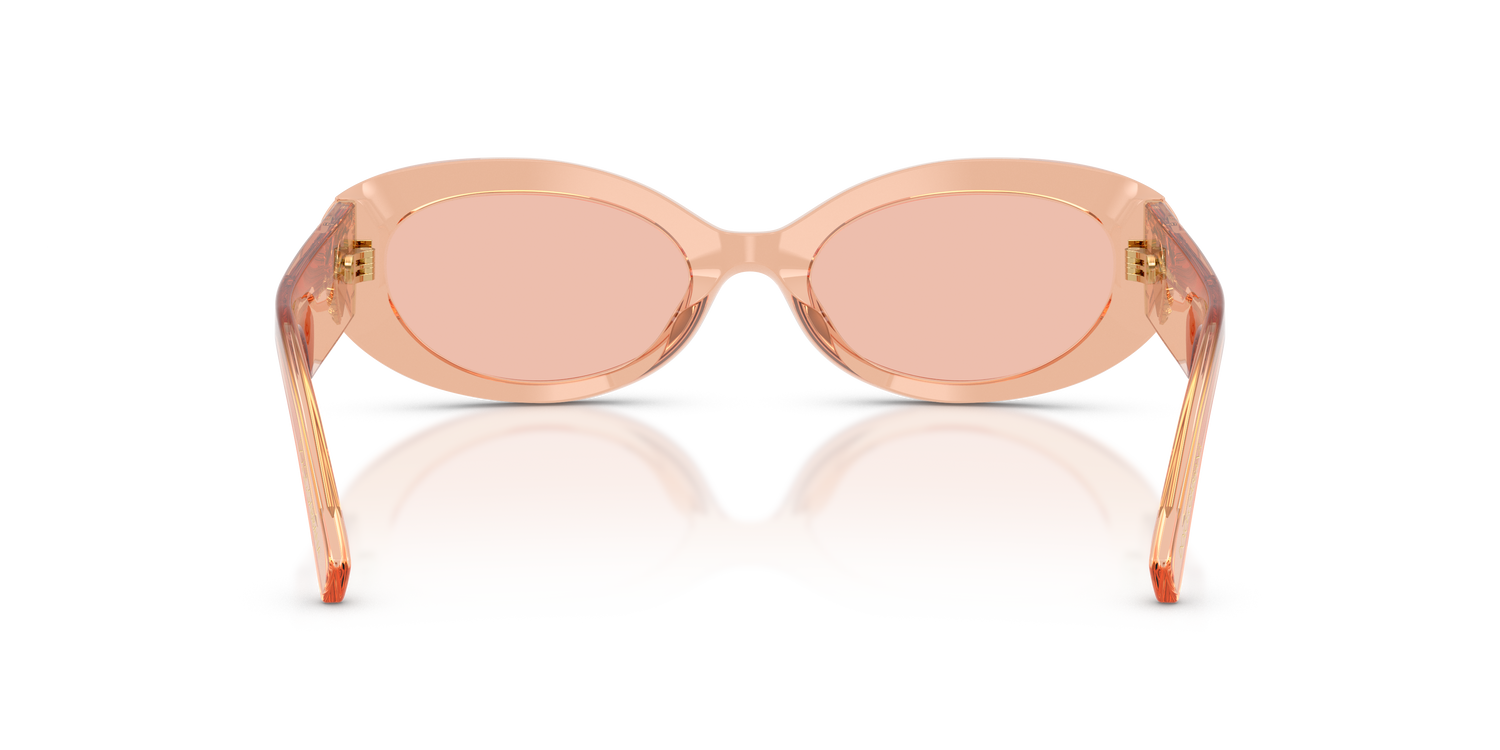 DOLCE &amp; GABBANA DG4537 322684 53