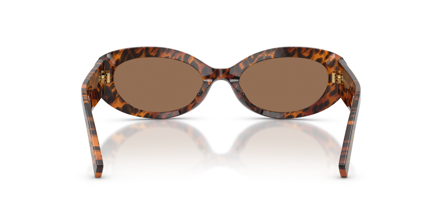 DOLCE &amp; GABBANA DG4537 347073 53