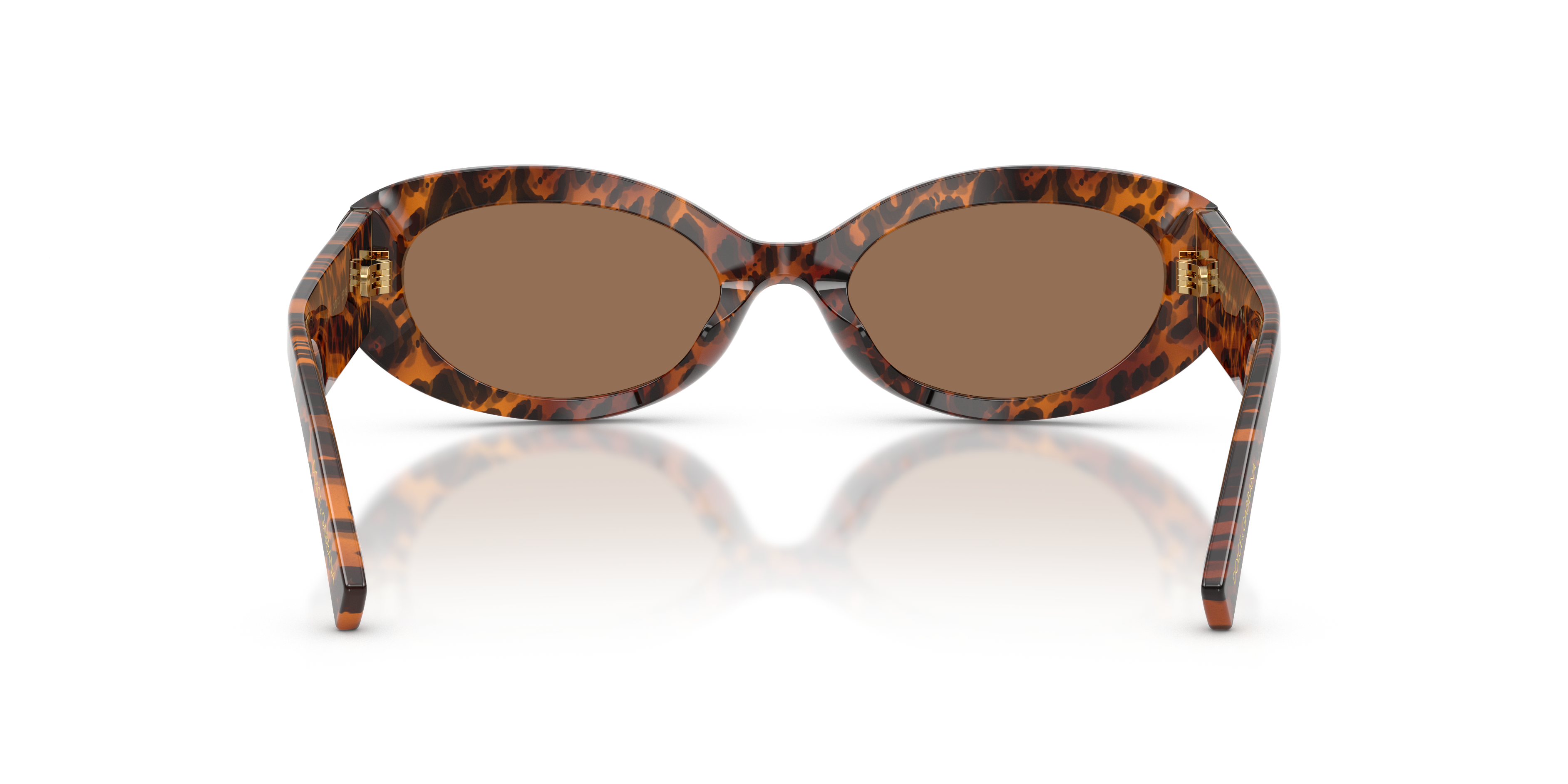DOLCE &amp; GABBANA DG4537 347073 53