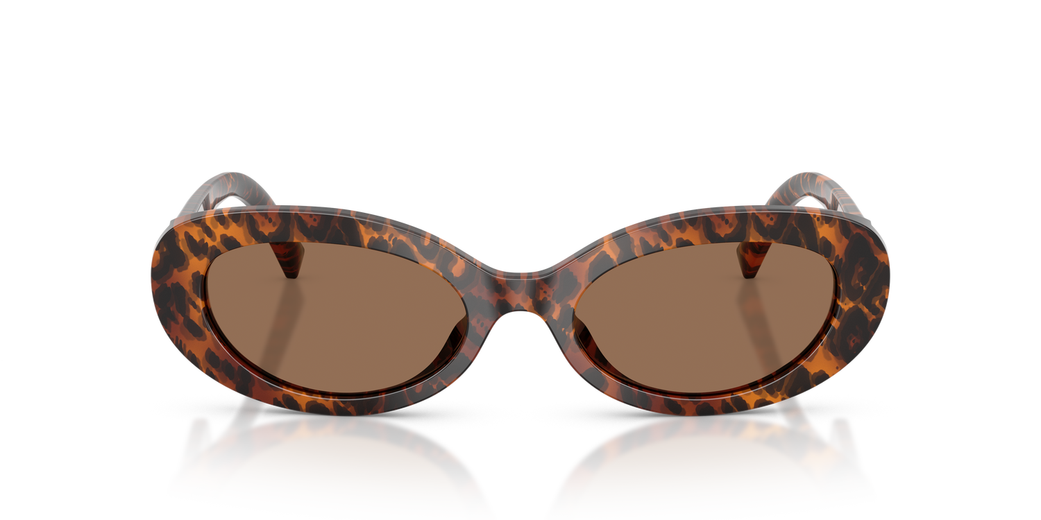DOLCE &amp; GABBANA DG4537 347073 53