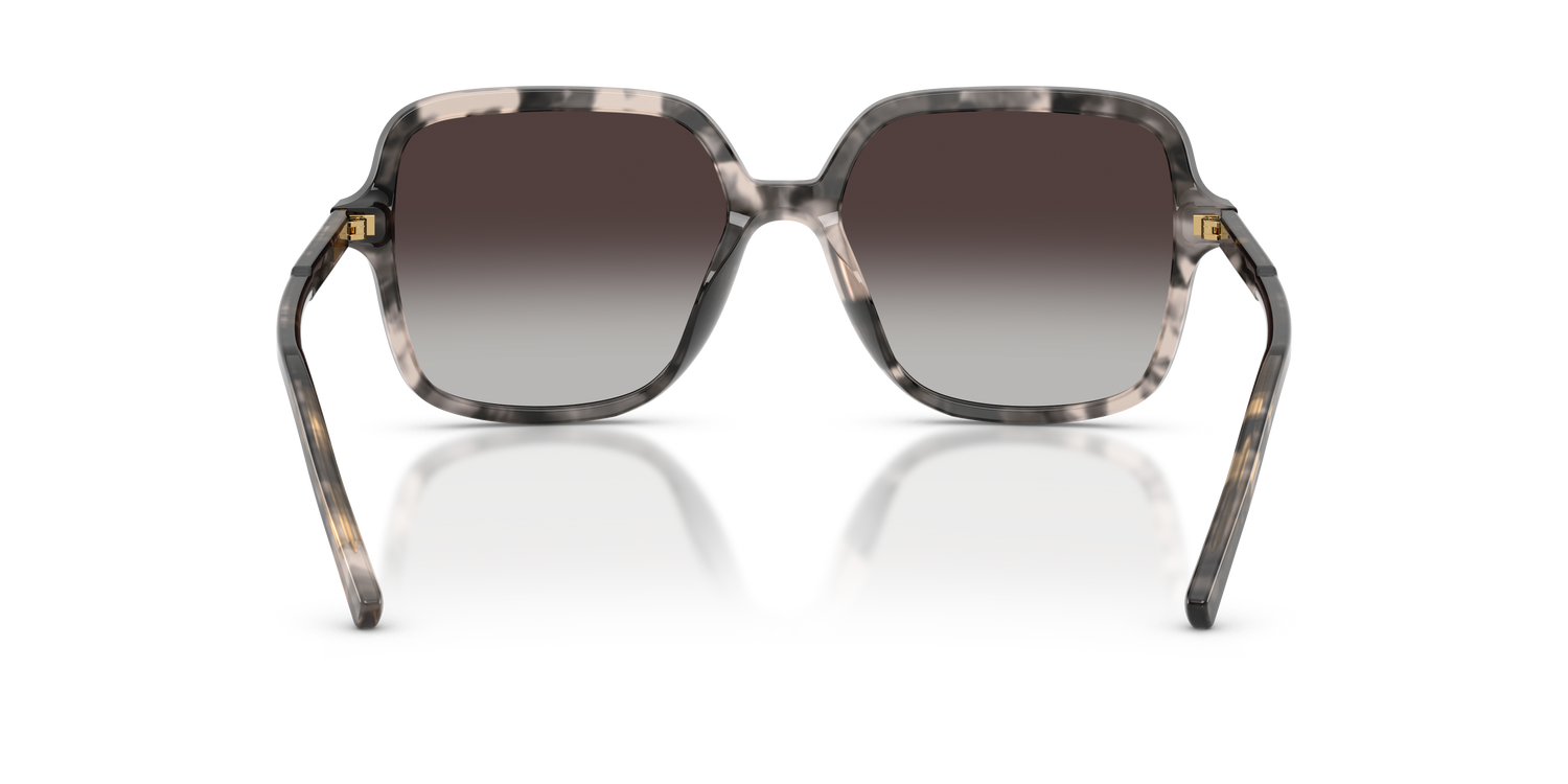 DOLCE &amp; GABBANA DG4539 31728G 55