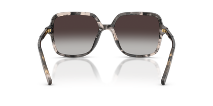 DOLCE &amp; GABBANA DG4539 31728G 55