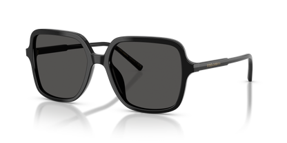 DOLCE &amp; GABBANA DG4539 501/87 55
