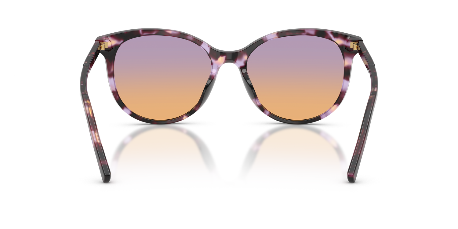 DOLCE &amp; GABBANA DG4540 3477EL 55