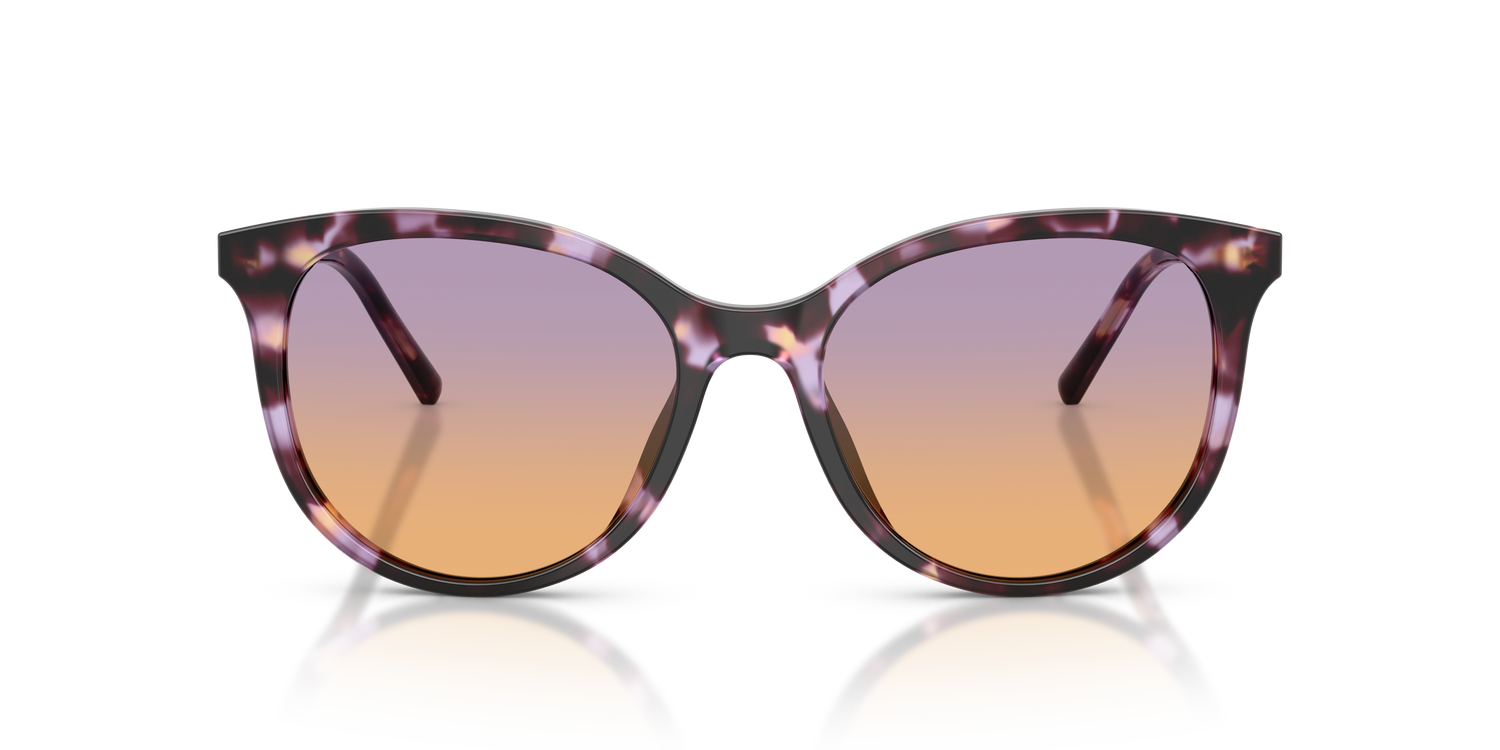 DOLCE &amp; GABBANA DG4540 3477EL 55