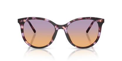DOLCE &amp; GABBANA DG4540 3477EL 55