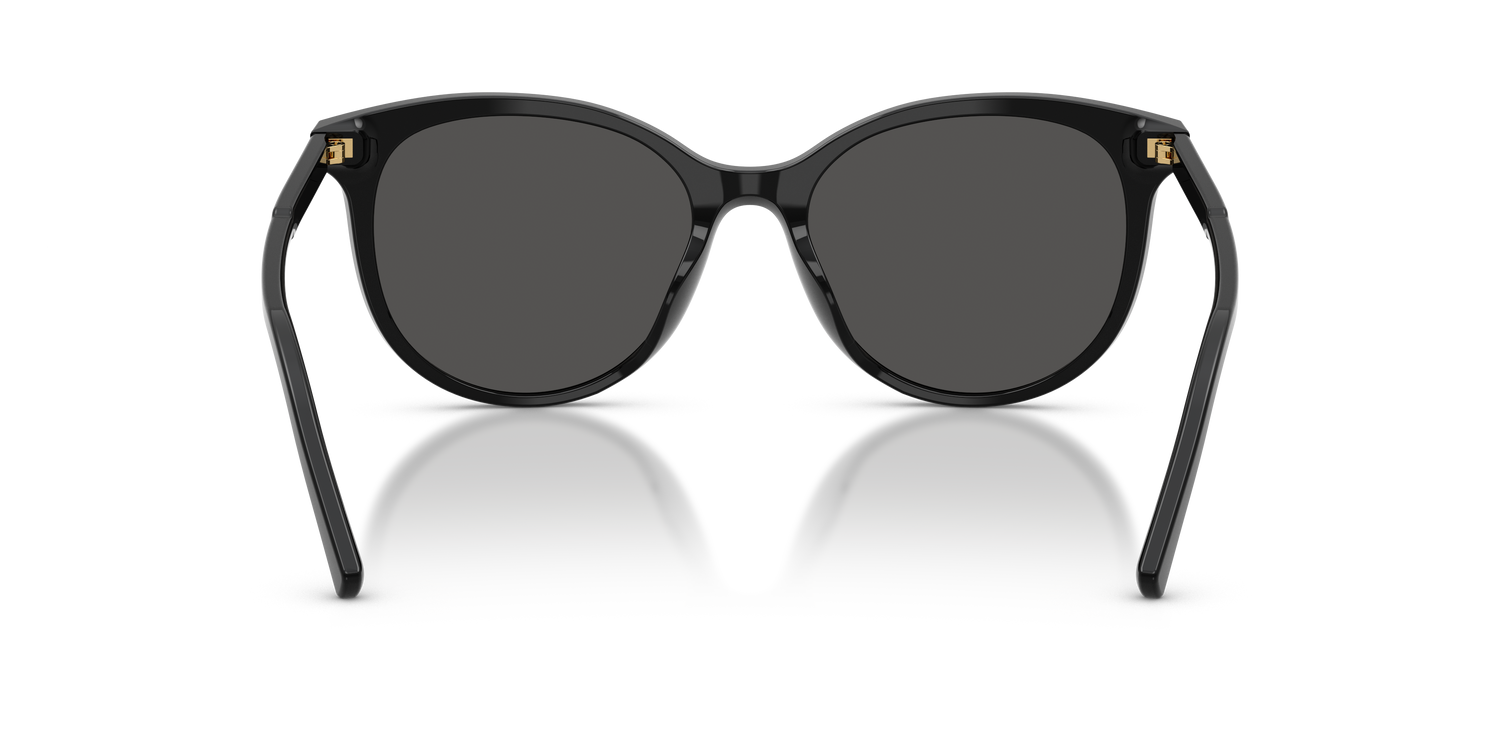 DOLCE &amp; GABBANA DG4540 501/87 55