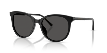 DOLCE &amp; GABBANA DG4540 501/87 55