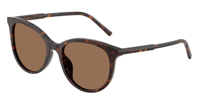 DOLCE &amp; GABBANA DG4540 502/13 55