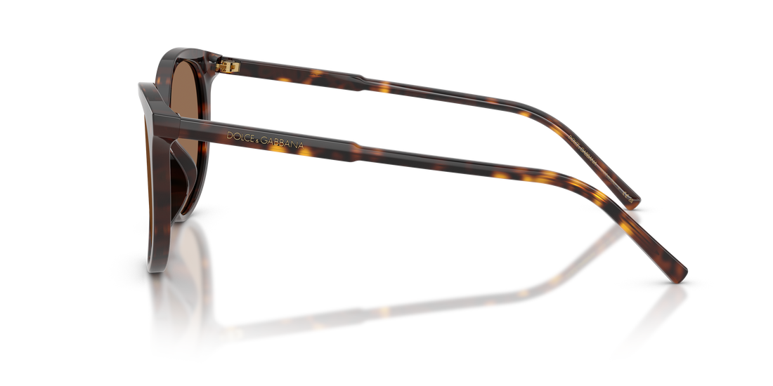 Occhiali da sole dolce & gabbana dg4540 502/13 havana pantos femenino taglia 55mm - Vista dettagliata