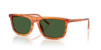 DOLCE &amp; GABBANA DG4542 348371 56