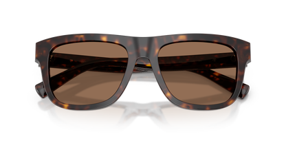 DOLCE &amp; GABBANA DG4545 502/73 55