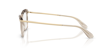 DOLCE &amp; GABBANA DG5025 3432 53