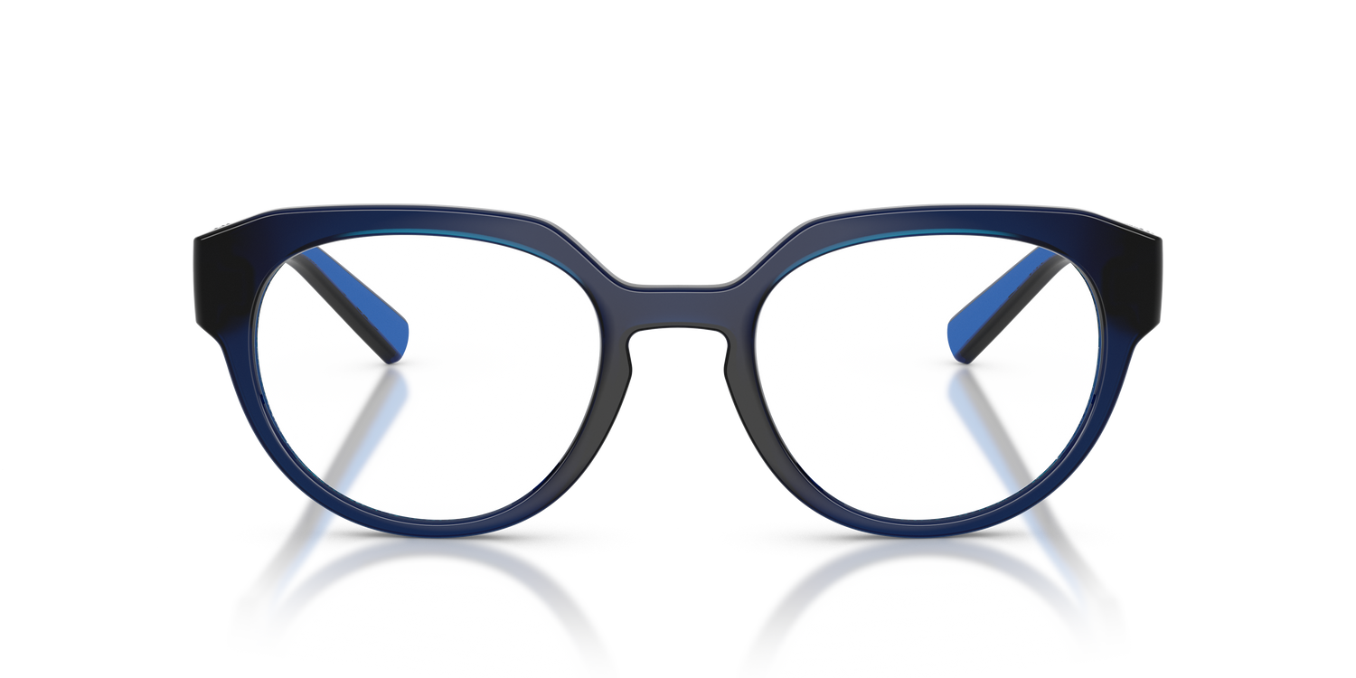 DOLCE &amp; GABBANA DG5113 3009 53