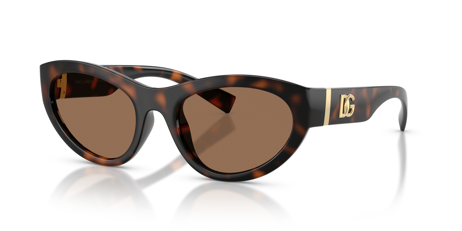 DOLCE &amp; GABBANA DG6207 502/73 54