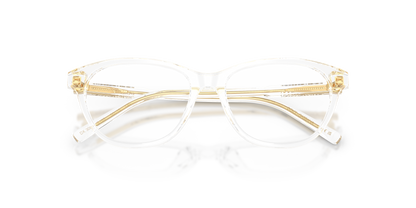 DOLCE &amp; GABBANA DX3002 3133 48