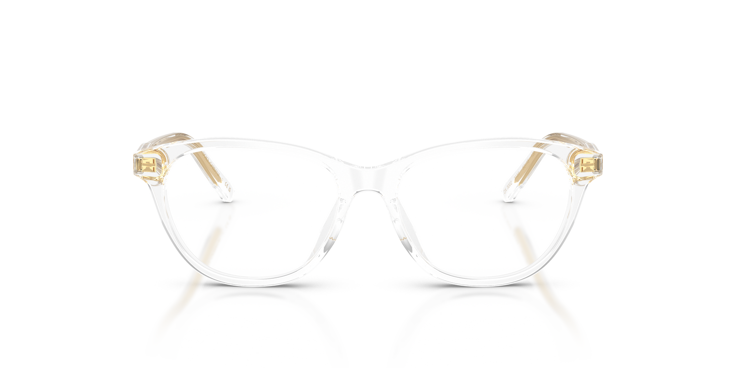 DOLCE &amp; GABBANA DX3002 3133 48