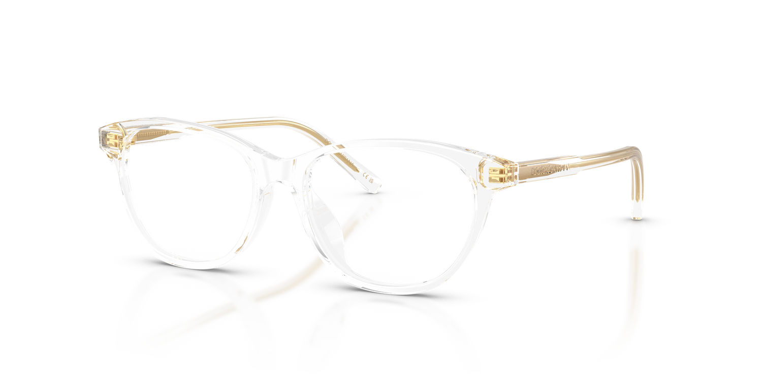 DOLCE &amp; GABBANA DX3002 3133 50