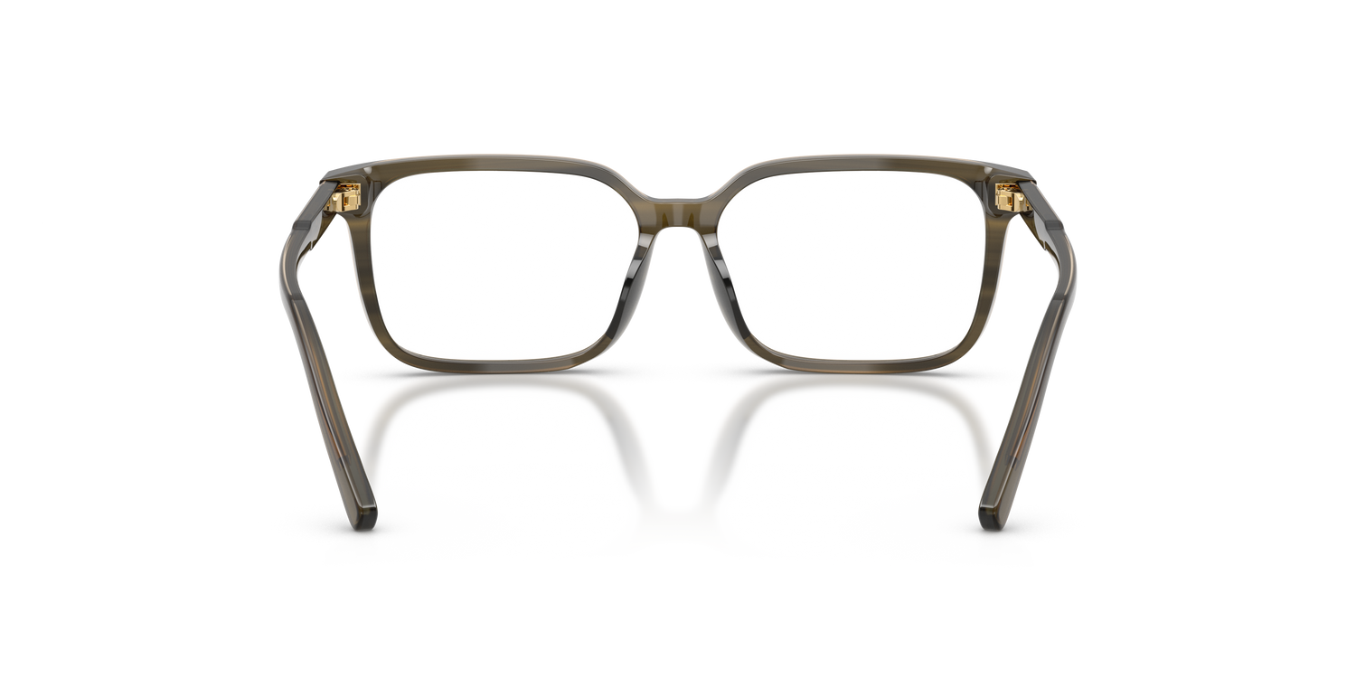 DOLCE &amp; GABBANA DX3003 3480 51