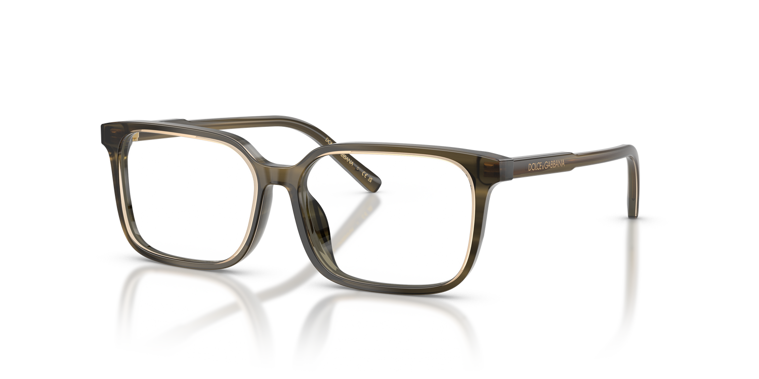 DOLCE &amp; GABBANA DX3003 3480 51