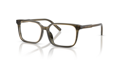 DOLCE &amp; GABBANA DX3003 3480 51
