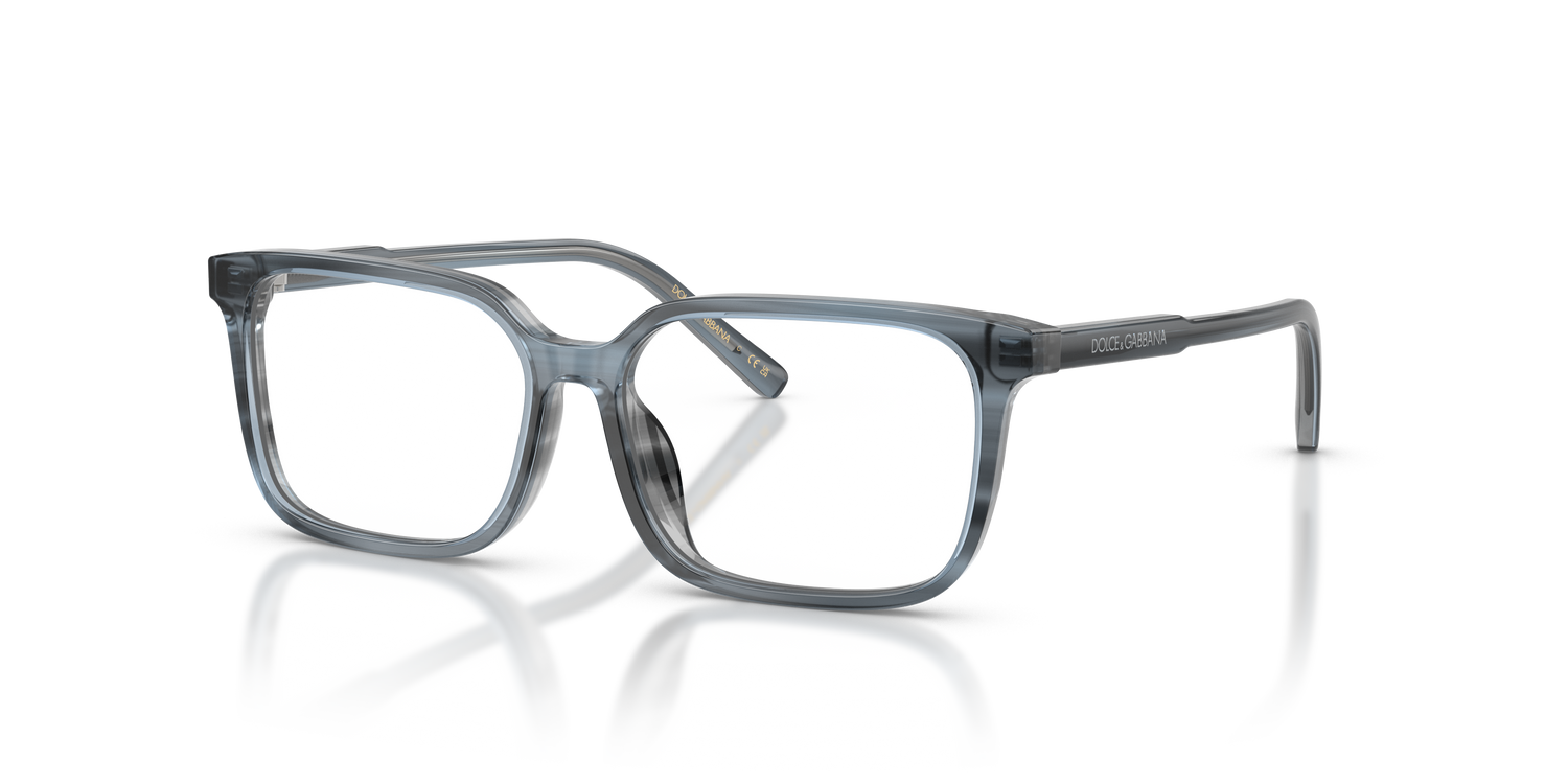 DOLCE &amp; GABBANA DX3003 3482 51