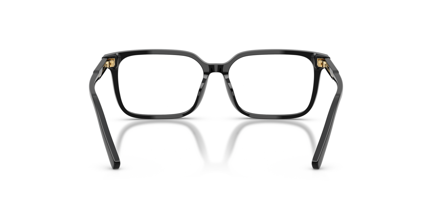 DOLCE &amp; GABBANA DX3003 501 49