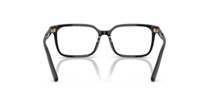 DOLCE &amp; GABBANA DX3003 501 49