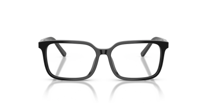 DOLCE &amp; GABBANA DX3003 501 49