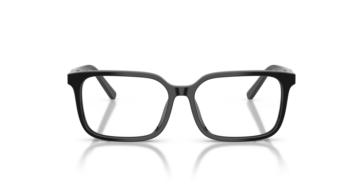 DOLCE &amp; GABBANA DX3003 501 51