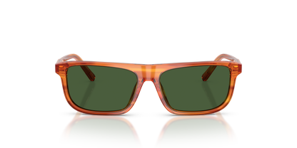 DOLCE &amp; GABBANA DX4009 348371 51