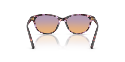 DOLCE &amp; GABBANA DX4010 3477EL 48