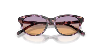 DOLCE &amp; GABBANA DX4010 3477EL 48