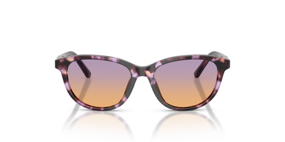 DOLCE &amp; GABBANA DX4010 3477EL 48