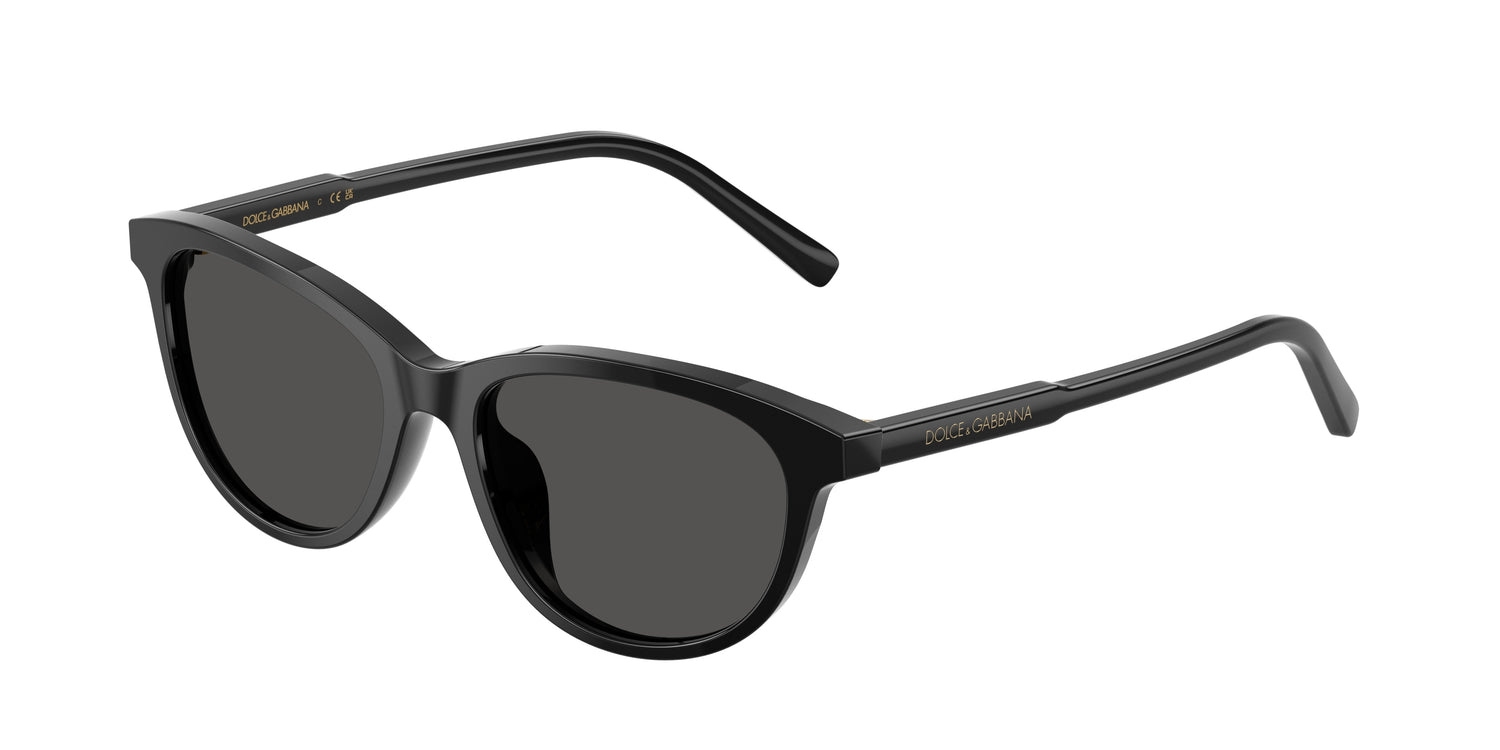DOLCE &amp; GABBANA DX4010 501/87 48