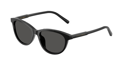 DOLCE &amp; GABBANA DX4010 501/87 48
