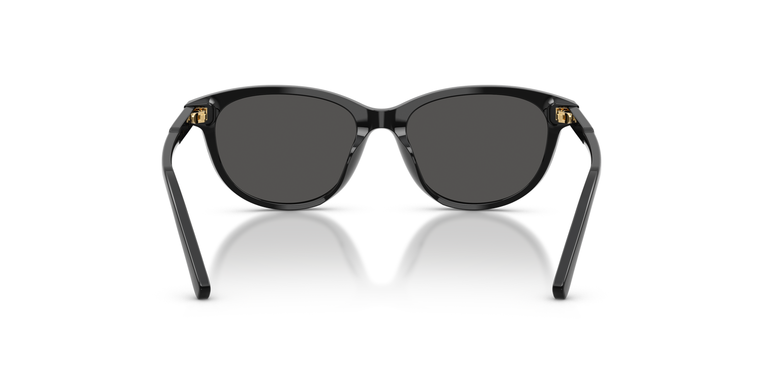 DOLCE &amp; GABBANA DX4010 501/87 48