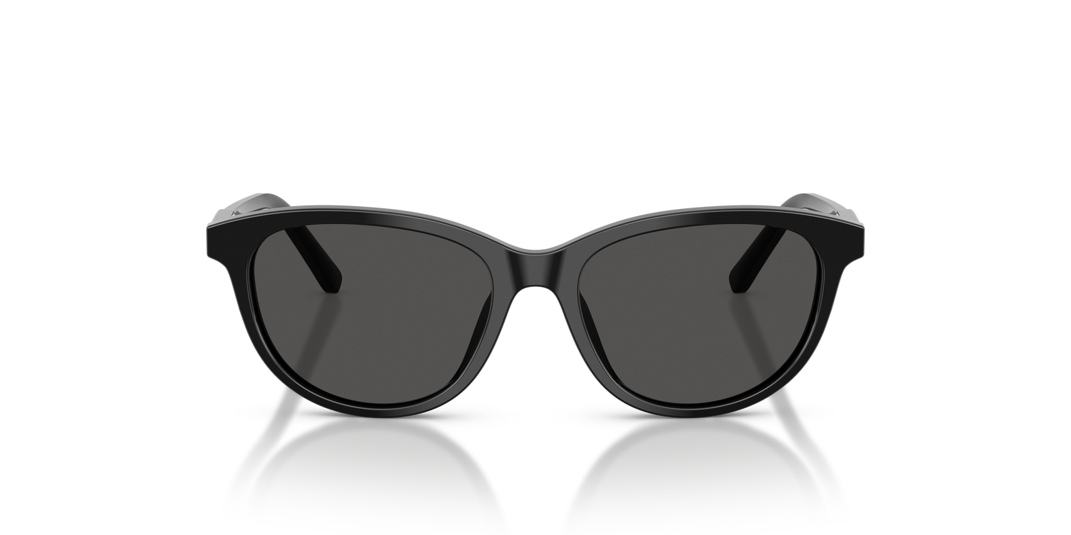 DOLCE &amp; GABBANA DX4010 501/87 48